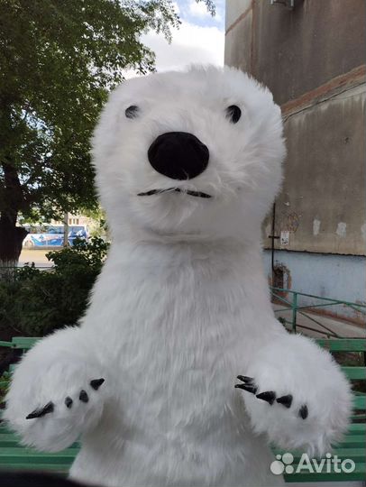 Поздравления от белого медведя