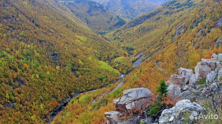 Автомобильная экскурсия по Кисловодску