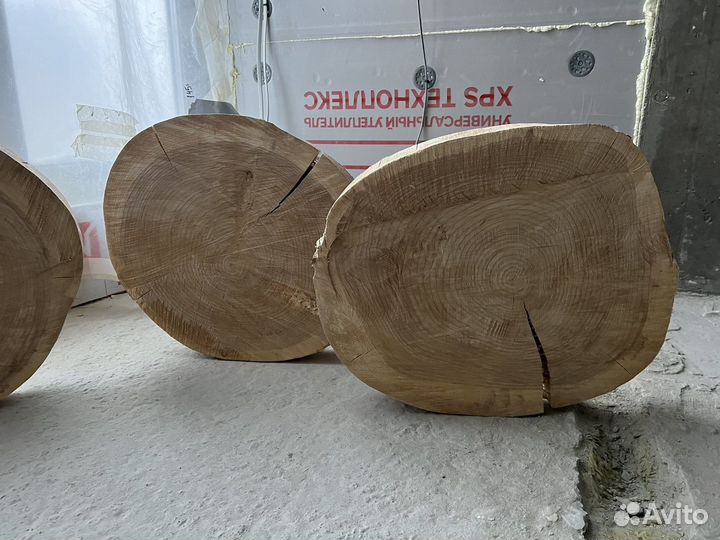 Большой спил Белого Ясеня