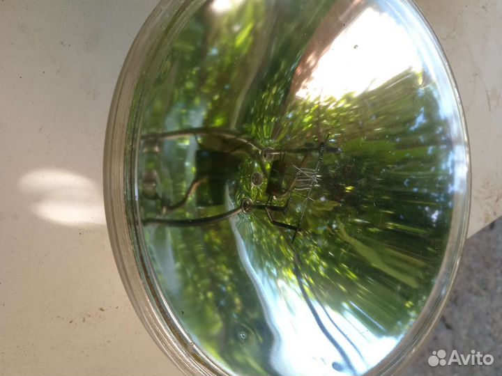 Ободок фар 21 Волги. С фарой