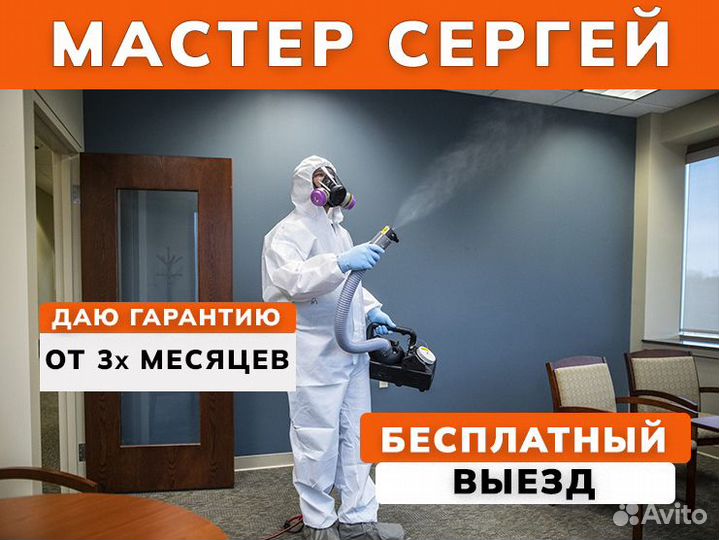 Уничтожение тараканов клопов грызунов дезинфекция