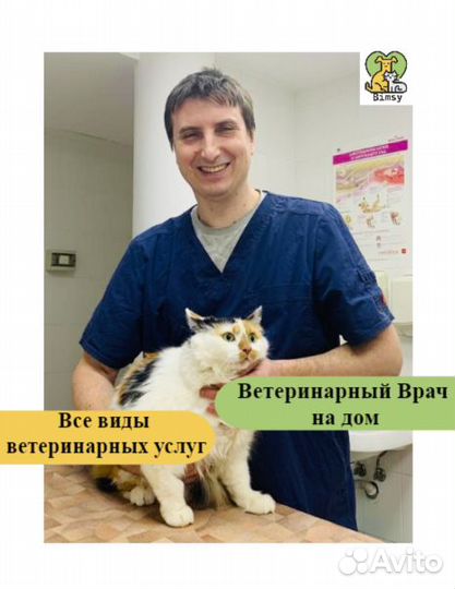 Ветеринарный врач на дом. Ветеринарная помощь