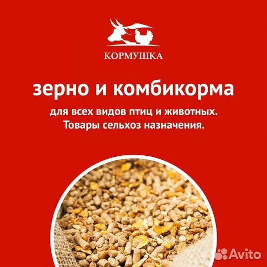 Поилка чашечная для овец и коз