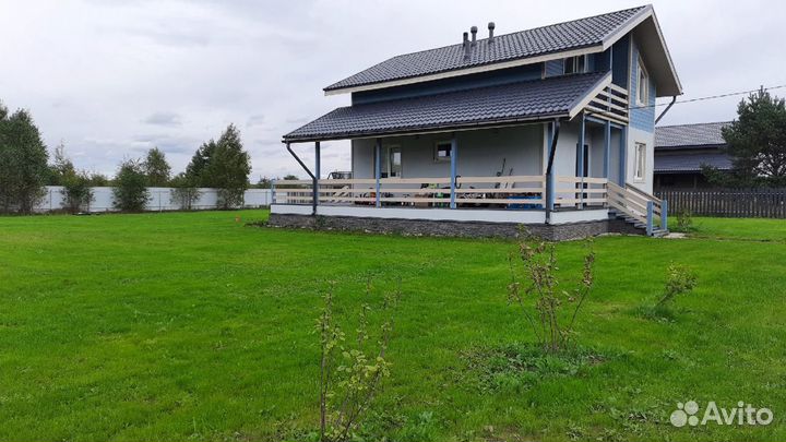 Посевной газон под ключ в Ступино