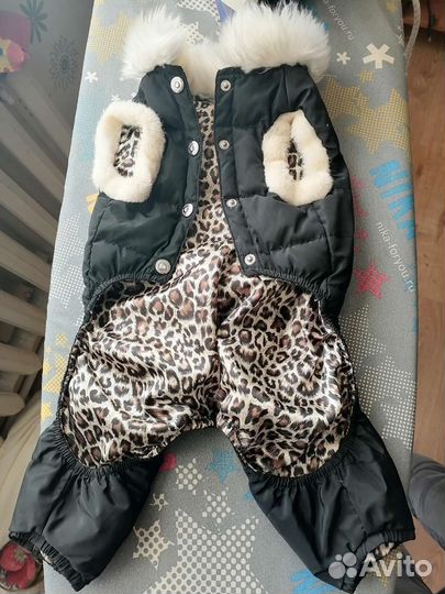 Одежда для собак