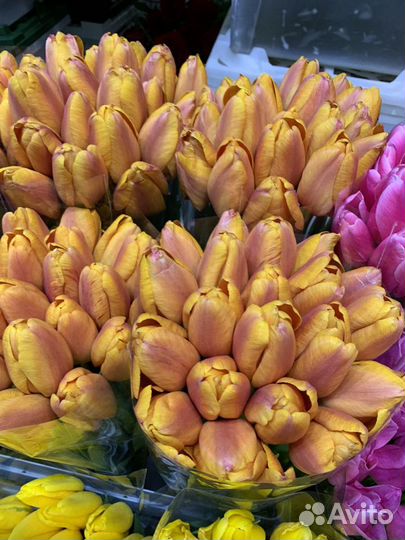 Цветы Тюльпаны и букеты с доставкой 24 часа москва