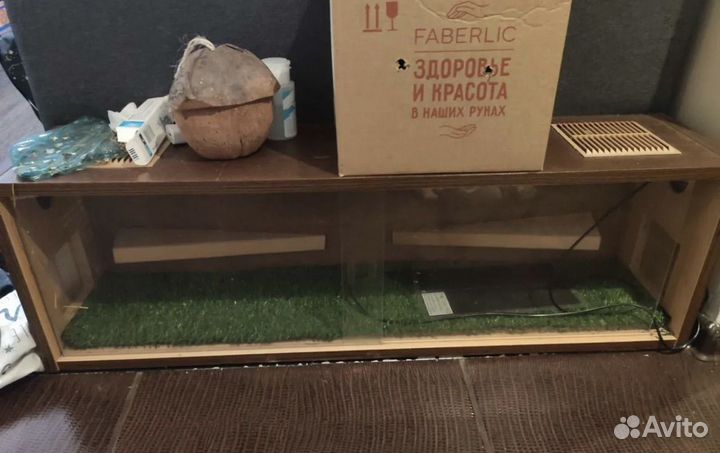 Террариум