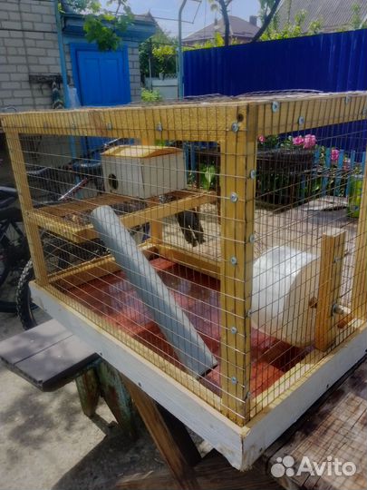 Клетка для грызунов большая