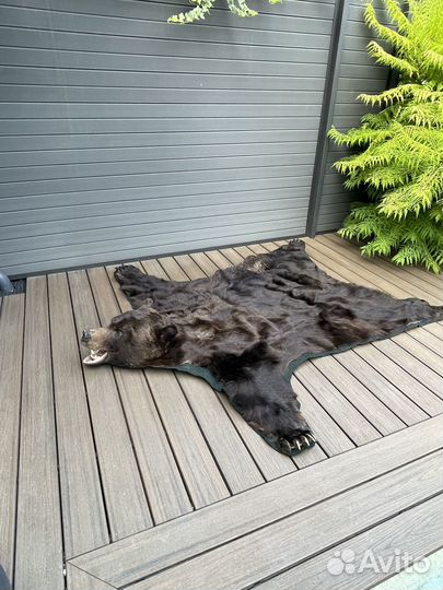 Ковер шкура