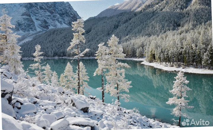 Тур путевка Алтай зимний экскурсия 4-7 дней