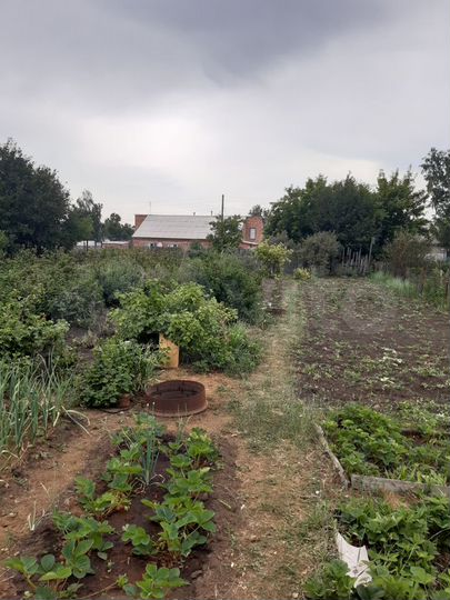 Участок 6 сот. (СНТ, ДНП)