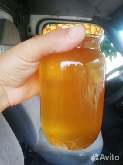 Мед подсолнечный