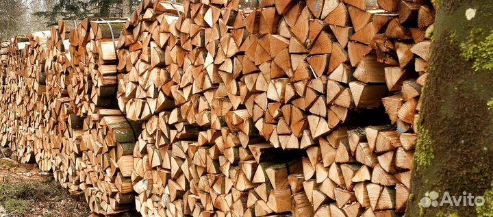 Дрова на дачу в баню