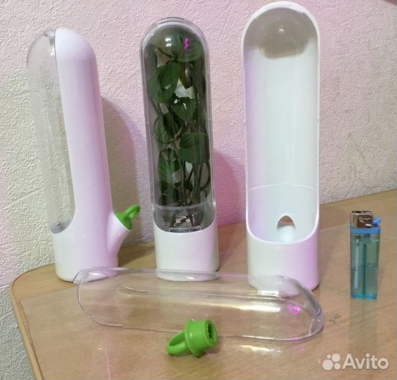 Контейнер для укоренения растений