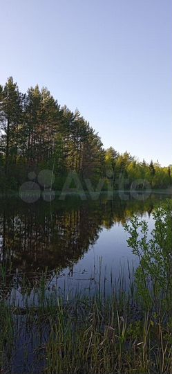 Дом 64 м² на участке 16 сот.