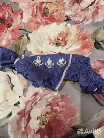 Одежда для собак