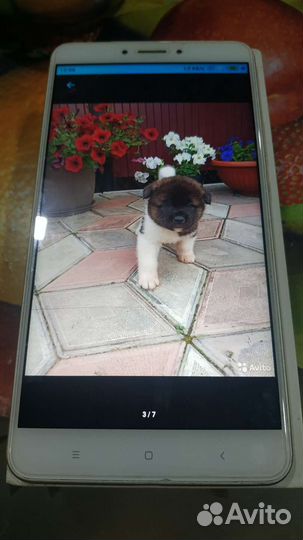 Xiaomi Mi Max 2, 4/64 ГБ