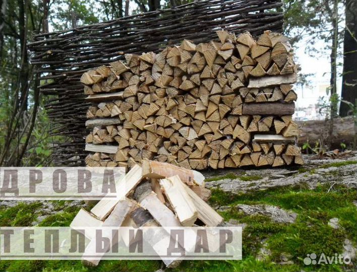 Дрова сухие