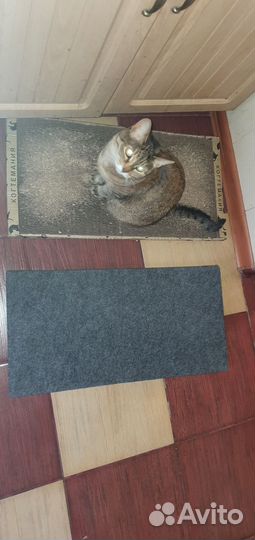 Когтеточка для кошки новая