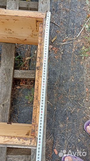 Корпуса Рута