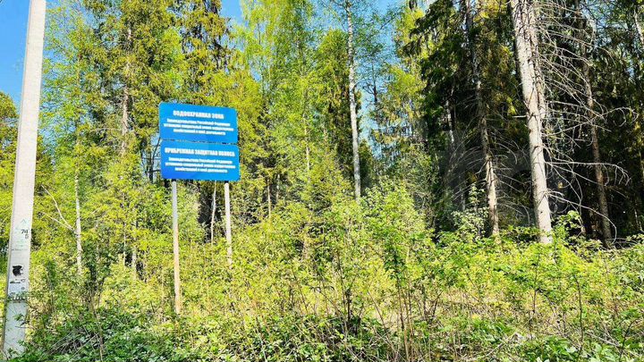 Участок 25 сот. (СНТ, ДНП)