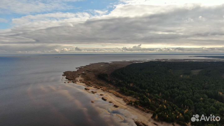 Съемка с квадрокоптера