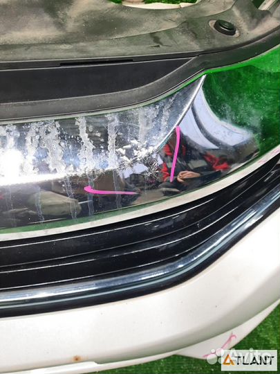 Ноускат honda shuttle