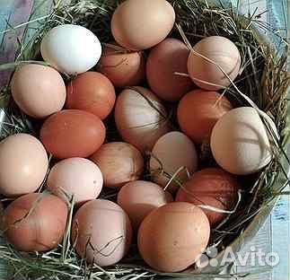 Работа упаковщица Вахта Новосибирск