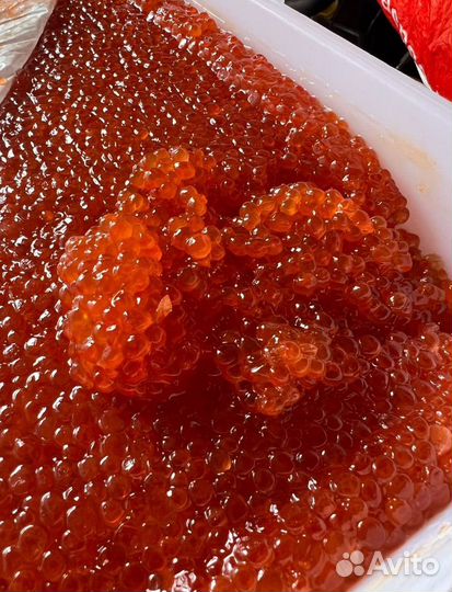 Красная Икра Кеты