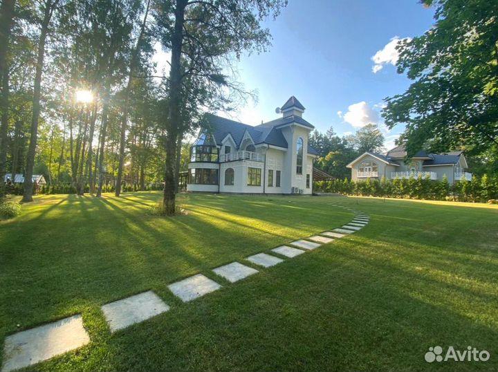 Рулонный газон