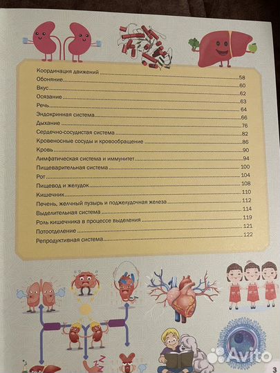 Детский Атлас анатомии человека новый