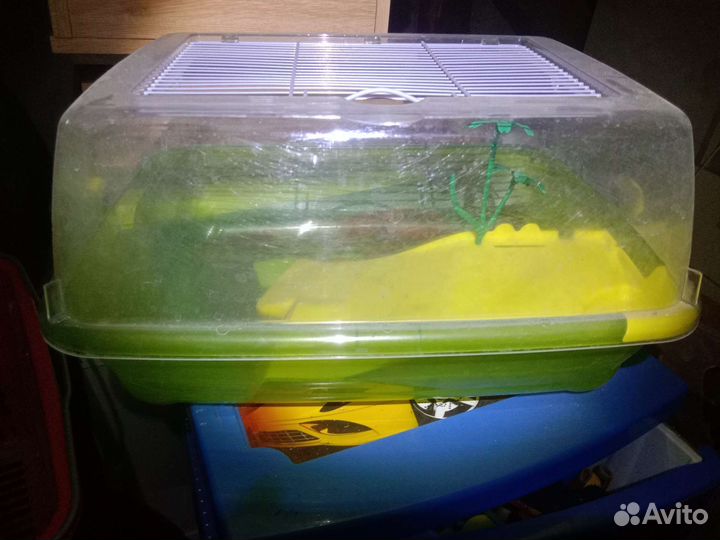 Террариум для черепахи