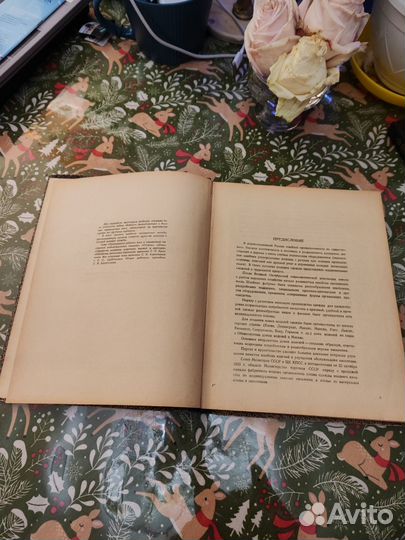 Технология изготовления верхней одежды книга СССР