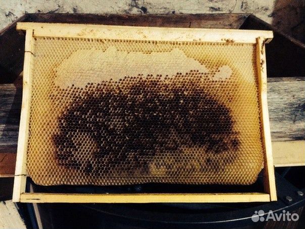 Рамки с сушью