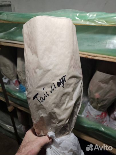 Тюльпаны на 8 марта