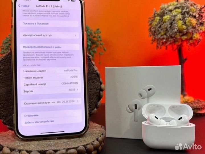 Airpods pro 2 type-c