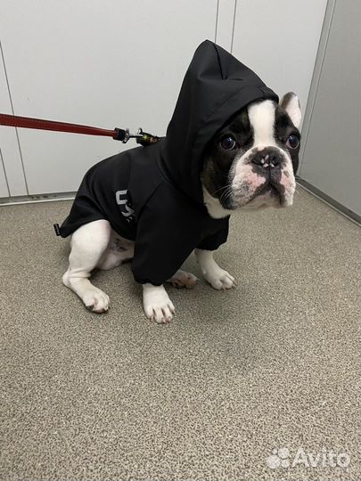Дождевик для собак 35 размер