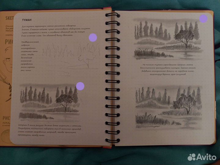 Книга Scetchbook Экспресс-курс рисования