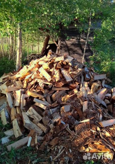 Дрова Береза навалом в Сертолово