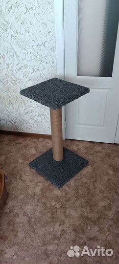 Когтеточка