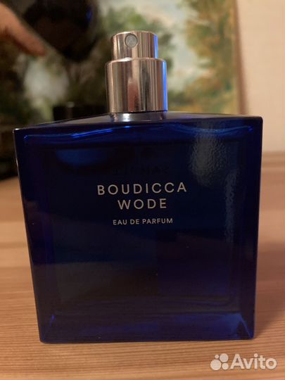 Boudicca Wode The Beautiful Mind Series