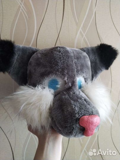 Фурсьют собака