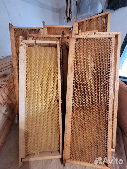 Сушь для пчел