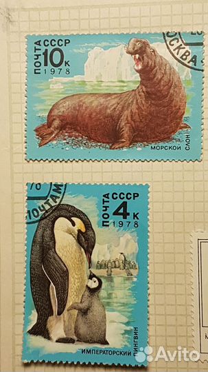 Марки СССР редкие