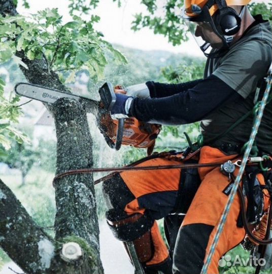 Спил деревьев