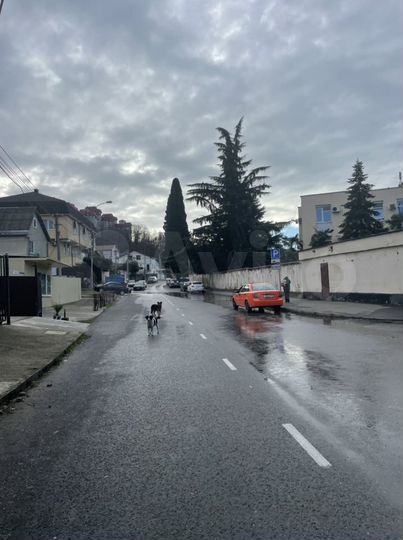 Сдам помещение свободного назначения, 40 м²