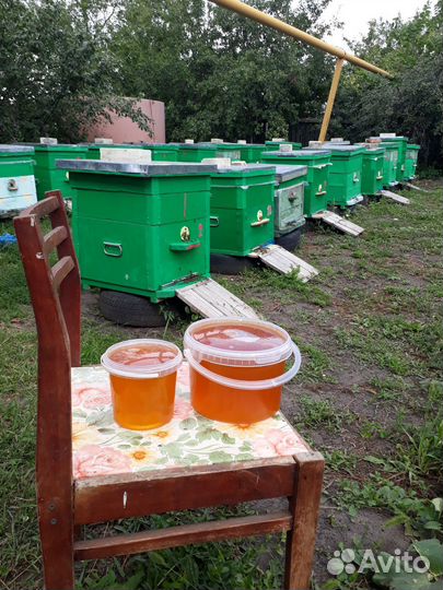 Продам мед оптом