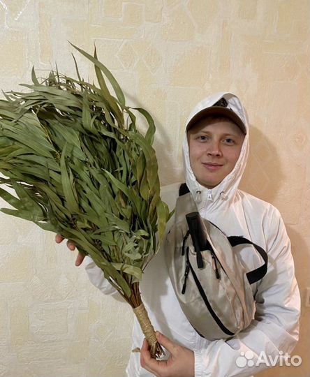 Эвкалиптовые банные веники