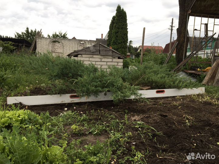 Можжевельник