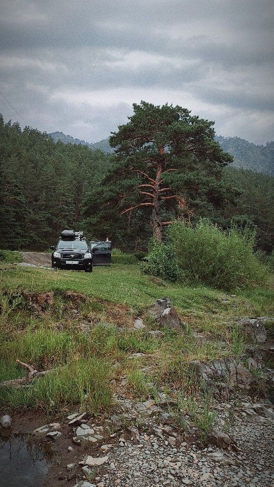 Toyota RAV4: фото владельца